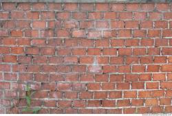 Photo Texture of Wall Bricks